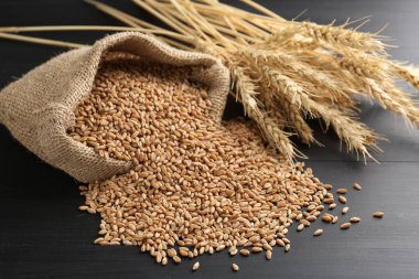 Çuval bezinde buğday taneleri ve siyah ahşap masada çiviler, yakın plan.