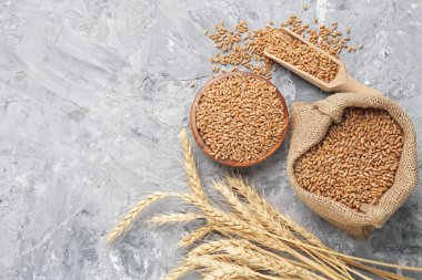 Gri masadaki buğday taneleri ve çiviler düzdü. Metin için boşluk