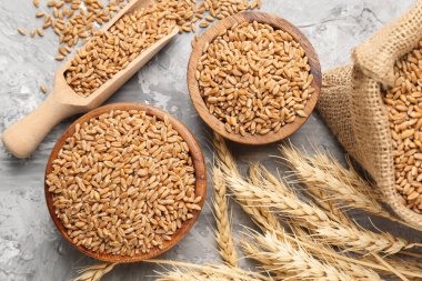 Gri masadaki buğday taneleri ve çiviler düzdü.