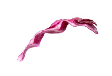 Bir dilim taze kırmızı lahana beyaza izole edilmiş.