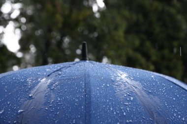 Sağanak yağmur altında mavi şemsiye, yakın çekim.