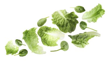 Beyaz arka planda uçuşan taze marul ve ıspanak yaprakları.