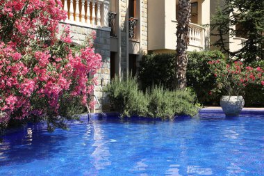 Açık yüzme havuzu ve otelin yanındaki lüks oteldeki farklı bitkiler.