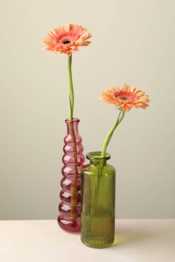 Beyaz masadaki cam vazolarda açık gri arka planda güzel Gerbera çiçekleri