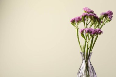Bej arka planda cam vazoda güzel çiçekler, yakın plan. Metin için boşluk