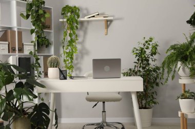Ofisinde dizüstü bilgisayarı, kırtasiyesi ve çiçek dekoru olan şık bir iş yeri. Biyofilik iç tasarım