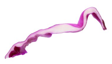 Bir dilim taze kırmızı lahana beyaza izole edilmiş.