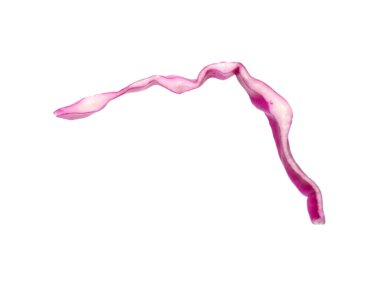 Bir dilim taze kırmızı lahana beyaza izole edilmiş.