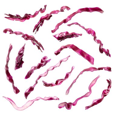 Beyaz arka planda doğranmış taze kırmızı lahana, kolaj.