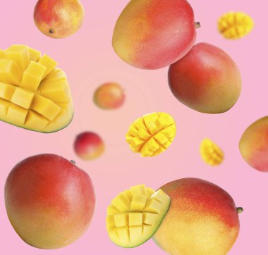 Havada dönen tatlı mango meyveleri pembe eğimli arka planda