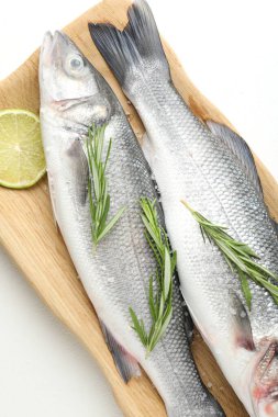 Beyaz masadaki baharatlı taze çiğ deniz kabuğu. Balık ve deniz ürünleri lezzetleri