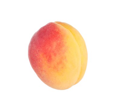 Taze olgun bir kayısı beyazda izole edilmiş.