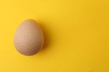 Sarı arka planda çiğ tavuk yumurtası. Metin için boşluk