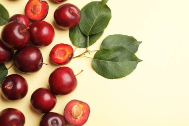 Açık sarı arka planda vişneli erikler ve yeşil yapraklar düz. Metin için boşluk