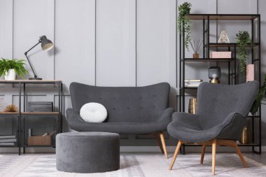 Şık gri koltuk, kanepe, puf, raf ünitesi ve ev bitkileri. İç tasarım