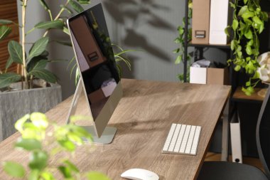 Biyofilik iç tasarım. Ofisinde bilgisayar ve ev bitkileri olan şık bir iş yeri