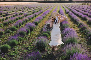 Hasır şapkalı ve sepet dolusu güzel çiçekli bir kadın lavanta tarlasında koşuyor.