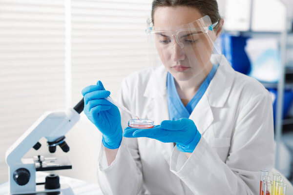 Scientist working with sample in Petri dish in laboratory