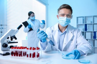 Tıbbi analiz. Laboratuvarda numuneyle çalışan bilim adamı, seçici odaklanma