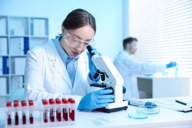 Tıbbi analiz. Laboratuvarda mikroskopla çalışan bilim adamı, seçici odaklanma