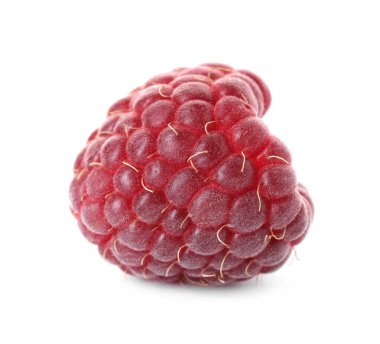 Beyaza izole edilmiş taze bir ahududu.