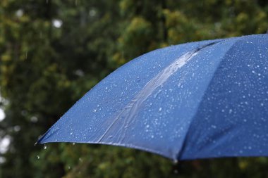 Sağanak yağmur altında mavi şemsiye, yakın çekim.
