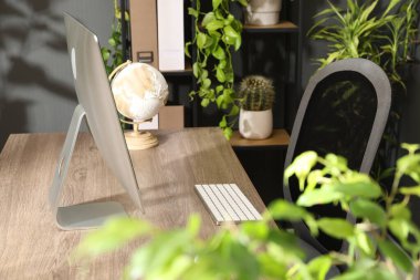 Biyofilik iç tasarım. Ofisinde bilgisayar ve ev bitkileri olan şık bir iş yeri