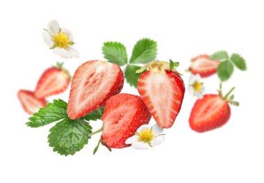 Taze sulu çilekleri çiçeklerle, yeşil yaprakları da beyaz arka planda kes.