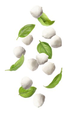 Taze fesleğen yapraklı Mozzarella peynir topları beyaz arka plana düşüyor.