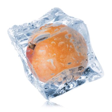 Buzun içindeki olgun kayısı meyvesi beyaza izole edilmiş.