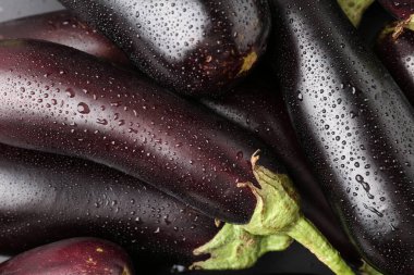 Arka plan olarak su damlaları olan birçok ham patlıcan, üst görünüm