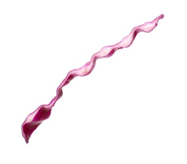 Bir dilim taze kırmızı lahana beyaza izole edilmiş.