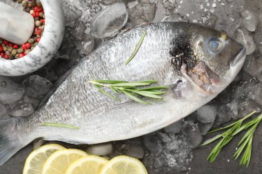 Taze çiğ dorado balığı, buz, limon dilimleri ve gri masada biberiye. Organik deniz ürünleri