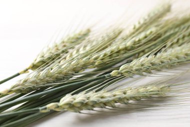 Açık ahşap masada bir sürü yeşil buğday çivisi, yakın plan.