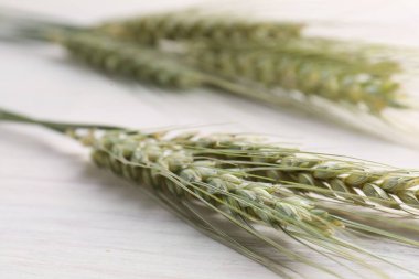 Açık ahşap masada bir sürü yeşil buğday çivisi, yakın plan.