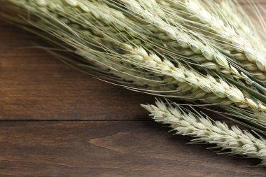 Tahta masada bir sürü yeşil buğday çivisi var, yakın plan. Metin için boşluk