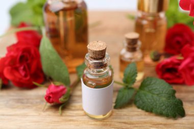 Gerekli yağlar, kırmızı güller ve ahşap masada bitkiler, yakın plan.