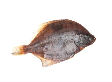 Taze çiğ balık, beyazda izole edilmiş, üst manzara. Deniz ürünleri.