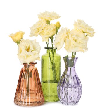 Beyaz vazolarda izole edilmiş güzel Eustoma çiçekleri.