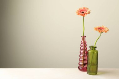 Beyaz masadaki cam vazolardaki güzel Gerbera çiçekleri açık gri arkaplan, metin için boşluk