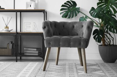 Şık gri koltuk, raf ünitesi ve ev bitkisi. İç tasarım