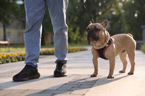 Man with his cute French bulldog in park, closeup