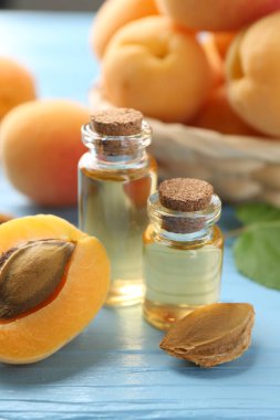 Yağ şişeleri, taze kayısılar ve çekirdekler açık mavi ahşap masa, yakın plan.