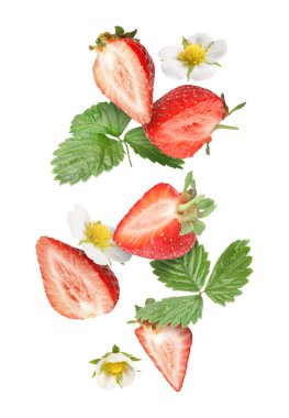 Beyaz arka plana düşen taze, sulu, çiçekli ve yeşil yapraklı çilekleri kes.