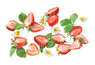 Beyaz arka plana düşen taze, sulu, çiçekli ve yeşil yapraklı çilekleri kes.