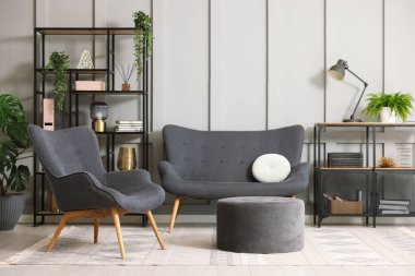 Şık gri koltuk, kanepe, puf, raf ünitesi ve ev bitkileri. İç tasarım