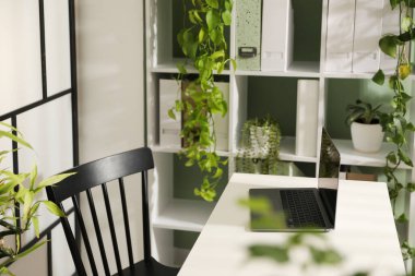 Biyofilik iç tasarım. Laptop ve ev bitkileriyle şık bir iş yeri.