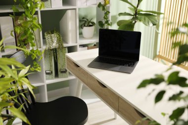 Biyofilik iç tasarım. Laptop ve ev bitkileriyle şık bir iş yeri.