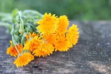 Güzel turuncu Calendula çiçekleri ahşap masada, yakın plan.