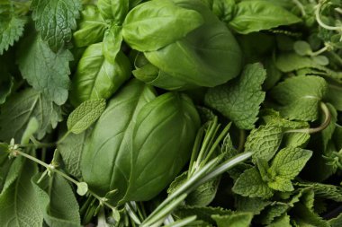 Arka plan olarak farklı yeşil otlar, üst görünüm